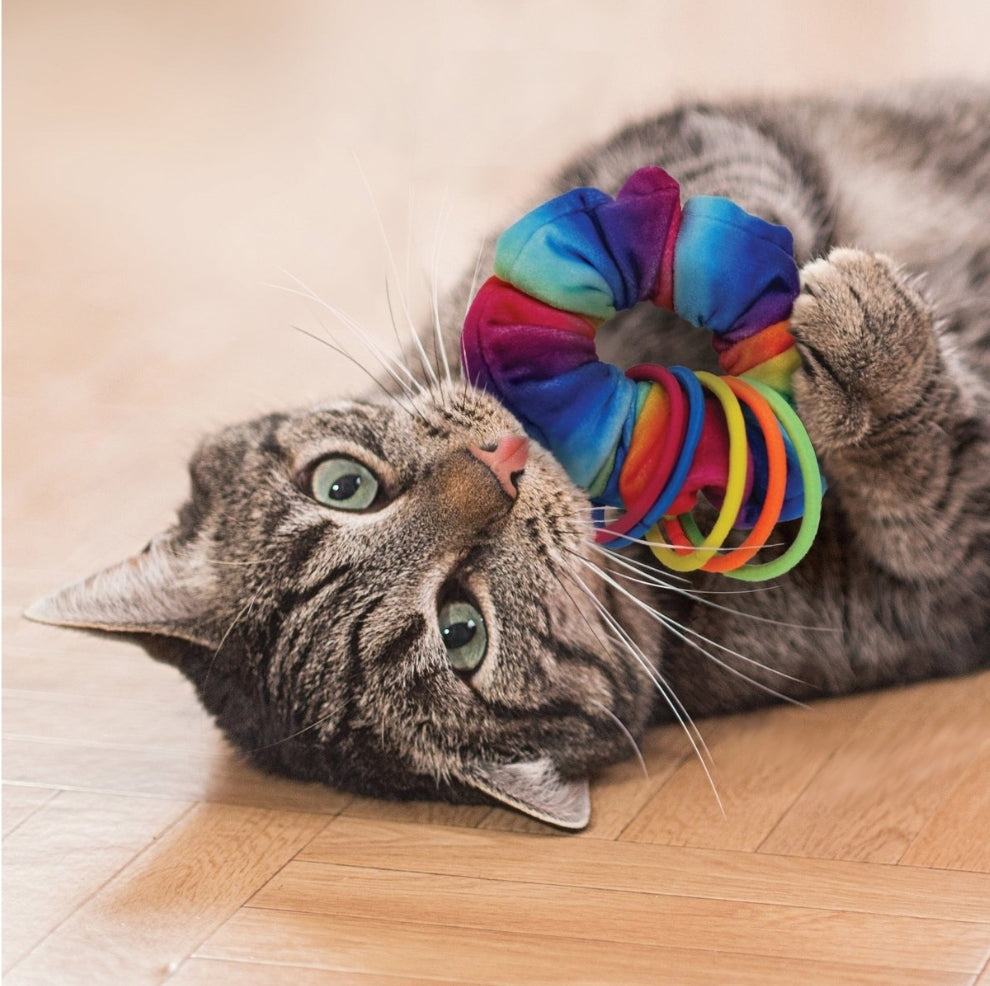 Cat Toys