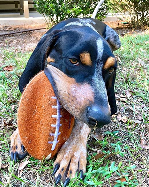 Nylabone Power Play Football Medium - Up to 35 lbs