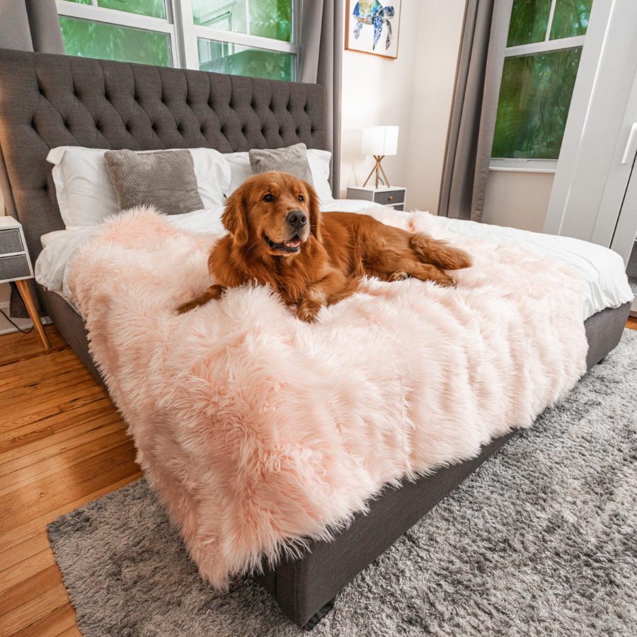 PupProtector™ Waterproof Dog Blanket – Durable, Washable, Throw Furniture Protector for Pets - Blush Pink