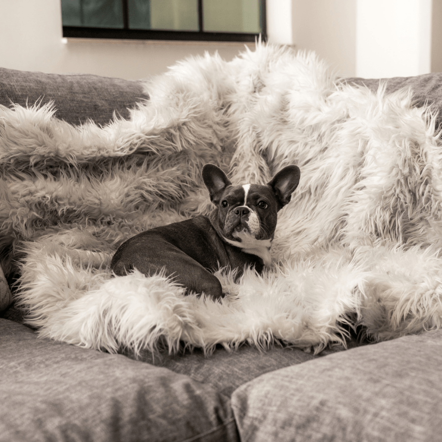 PupProtector™ Waterproof Dog Blanket – Durable, Washable, Throw Furniture Protector for Pets - Grey