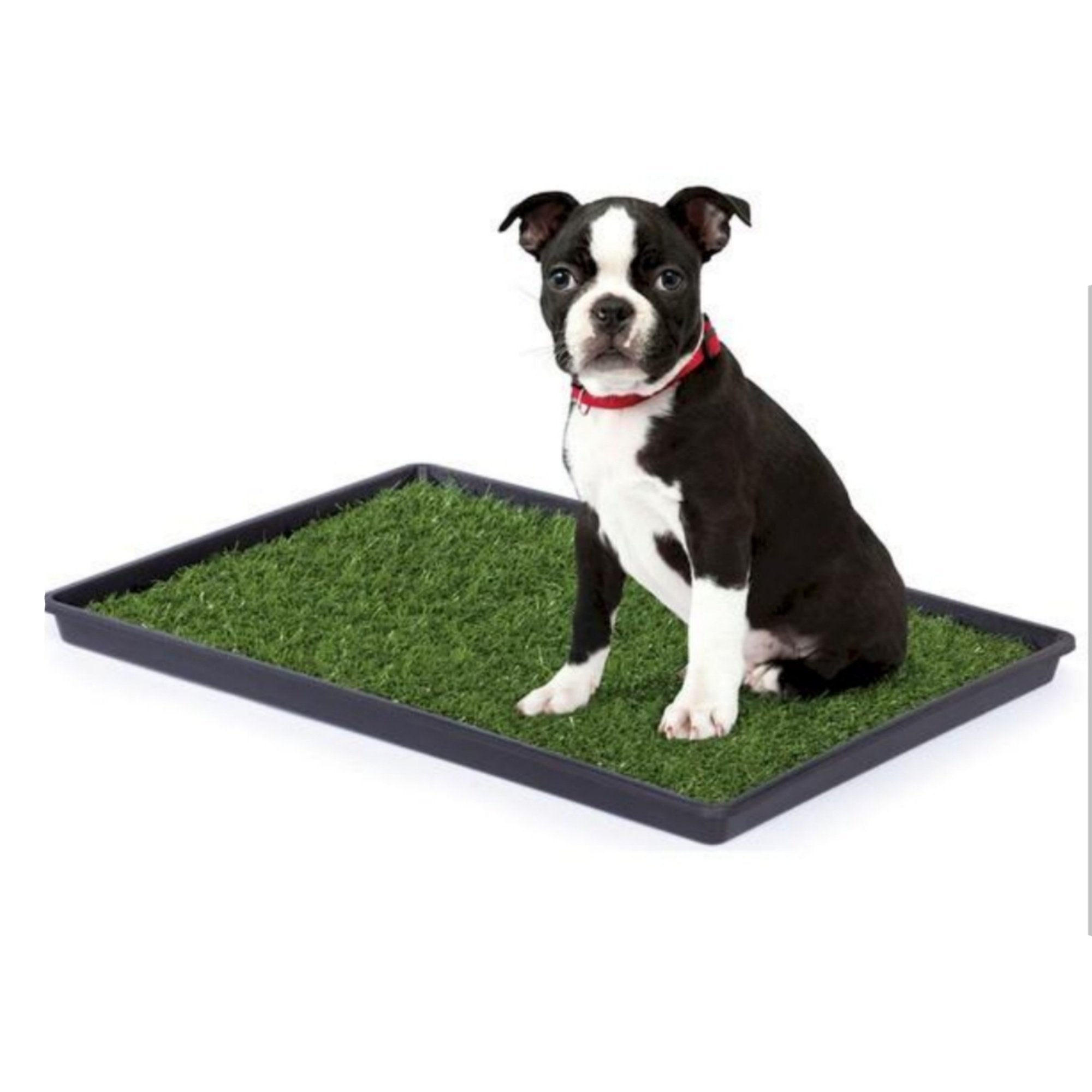 Mr. Peanut’s Indoor Grass Potty Pad – Easy-Clean Tray System for Puppy Training & Small Dogs