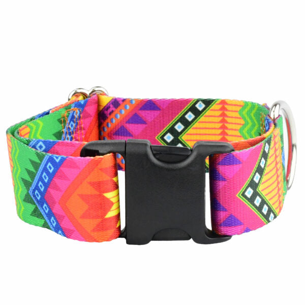 BFF(Best Friend Forever)EarthStyle Dog Collar – Eco-Friendly, Colorful & Durable Pet Accessory