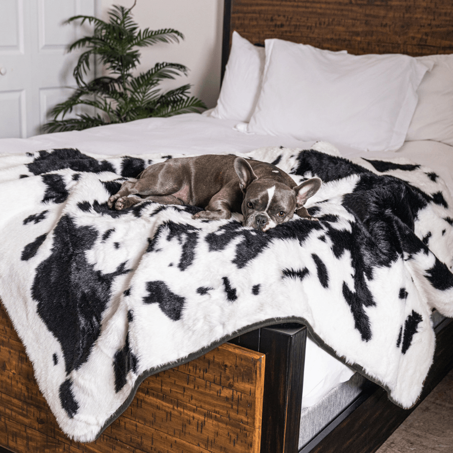 PupProtector™ Waterproof Dog Blanket – Durable, Washable, Throw Furniture Protector for Pets - Black Faux Cowhide