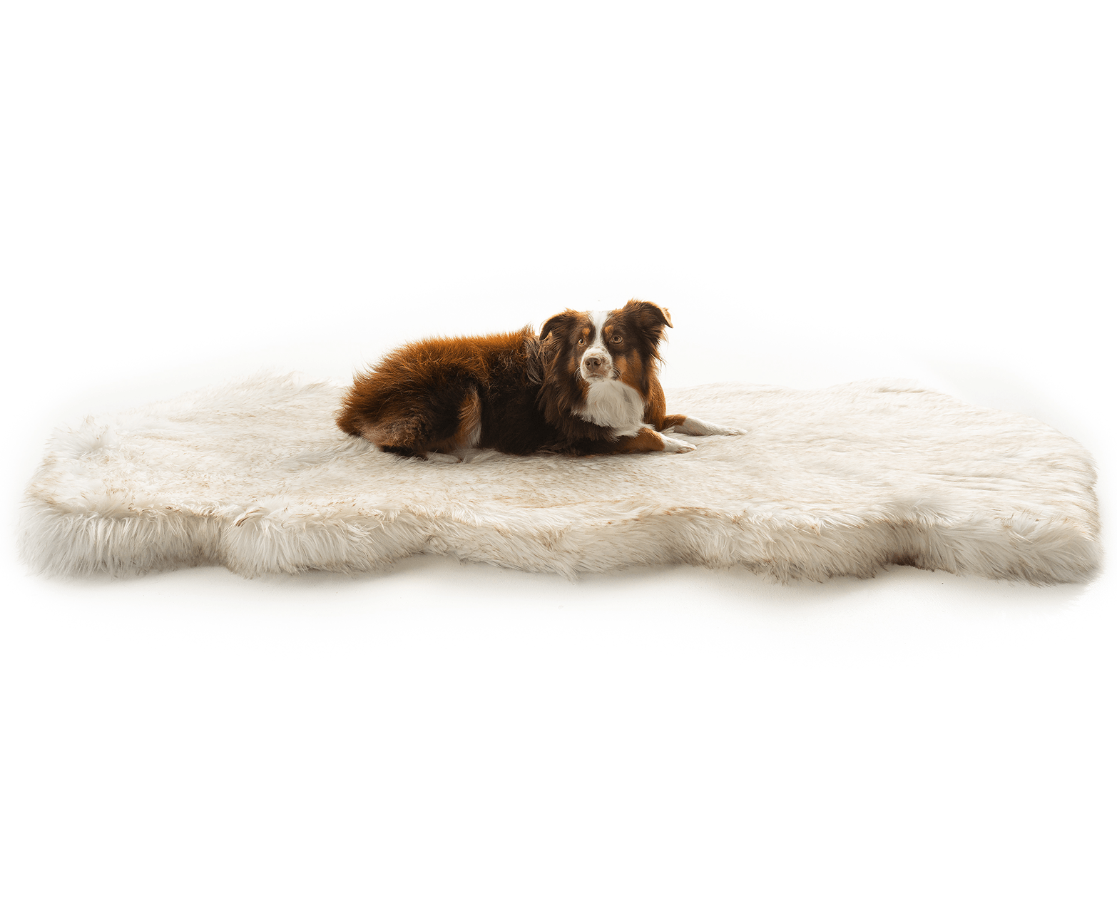 PupRug™ Runner Faux Fur Memory Foam Washable Luxury Pet Bed - White Curve Design with Brown Accents