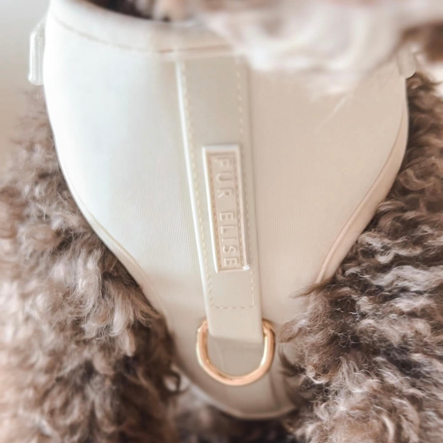 Elise Dog Harness – Adjustable, No-Pull, Comfortable & Durable for Small, Medium, and Large Dogs - Bone