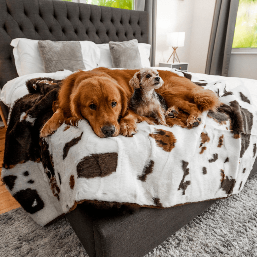 PupProtector™ Waterproof Dog Blanket – Durable, Washable, Throw Furniture Protector for Pets - Brown Faux Cowhide