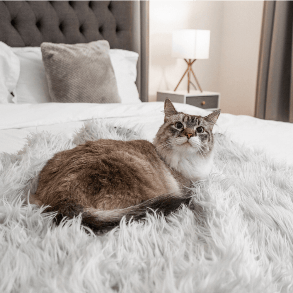 CatNap™ Anti-Scratch & Waterproof Throw Blanket – Furniture Protector for Cats