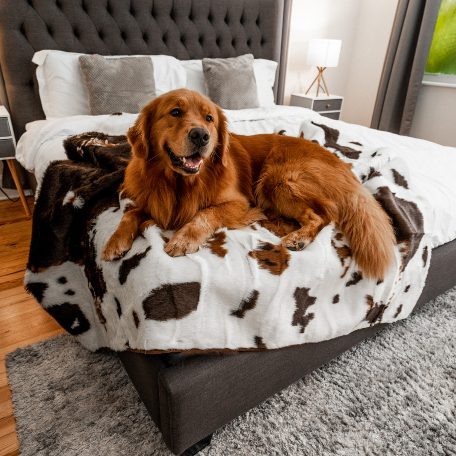 PupProtector™ Waterproof Dog Blanket – Durable, Washable, Throw Furniture Protector for Pets - Brown Faux Cowhide