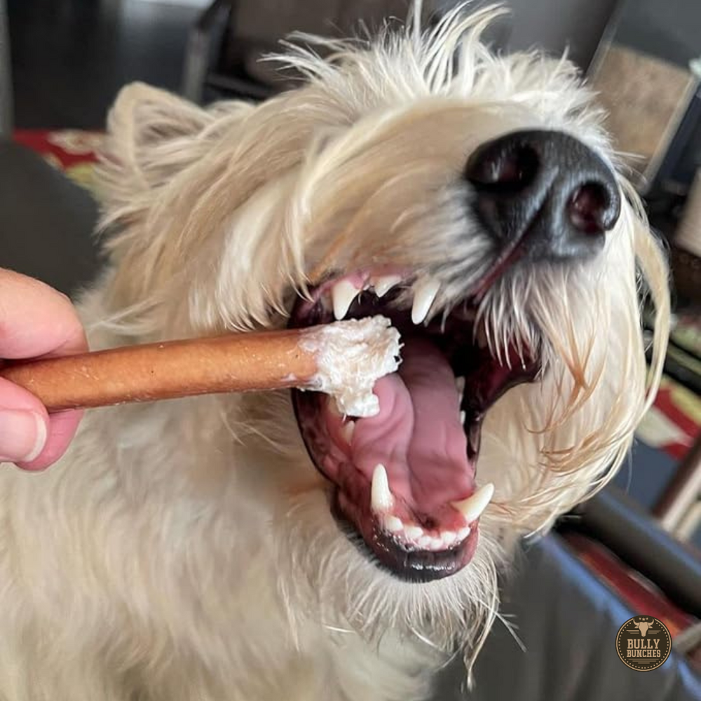 6-Inch Standard Bully Sticks – Natural Beef Dog Chews for Small & Medium Dogs