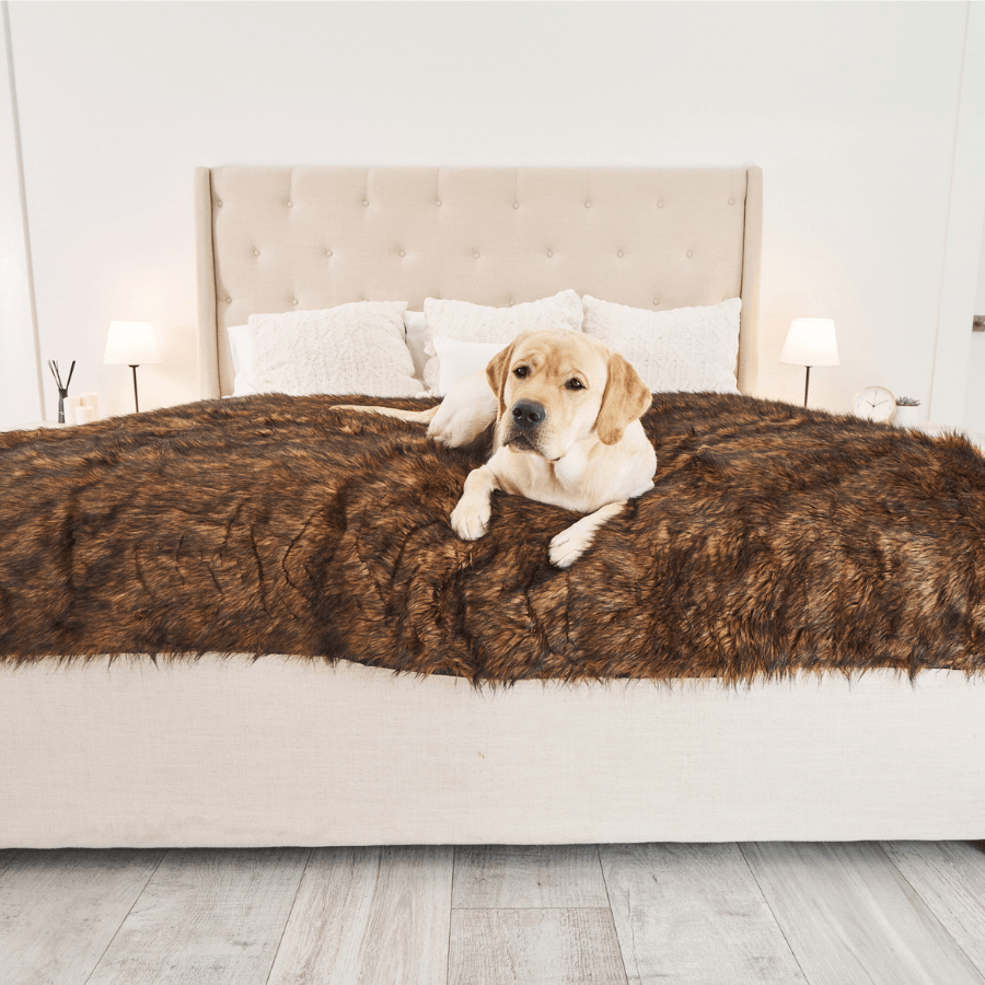PupProtector™ Waterproof Dog Blanket – Durable, Washable, Throw Furniture Protector for Pets – Brown