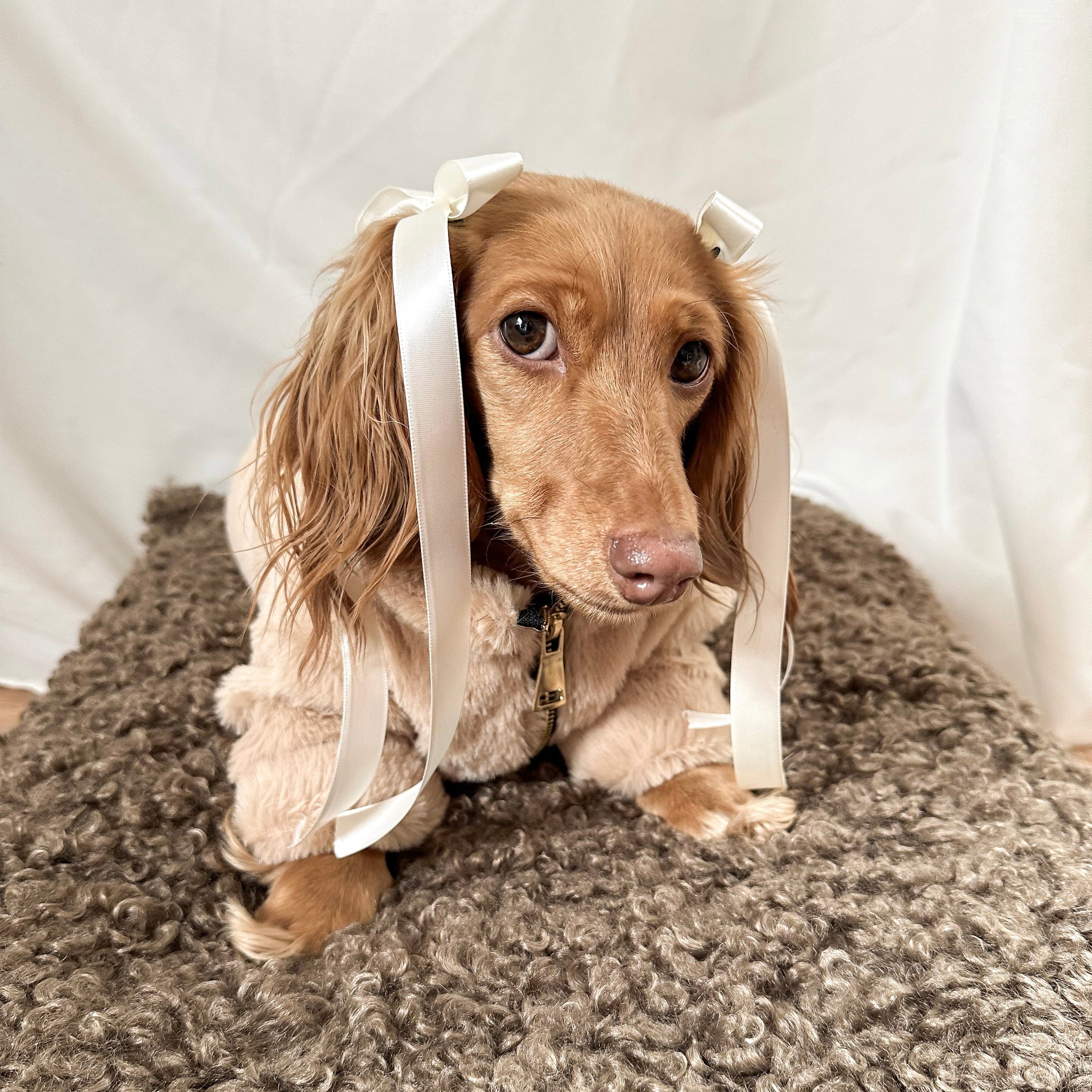 Furi Pet Sand Coat – Luxurious Faux Rabbit Fur Dog Jacket with Gold Zipper & Leash Opening