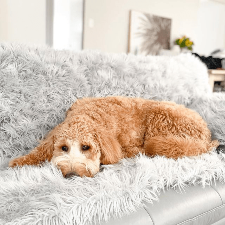 PupProtector™ Waterproof Dog Blanket – Durable, Washable, Throw Furniture Protector for Pets - Grey