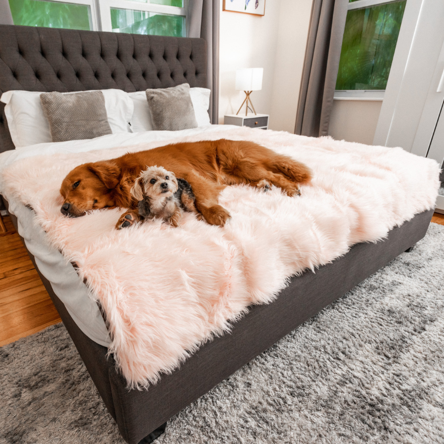 PupProtector™ Waterproof Dog Blanket – Durable, Washable, Throw Furniture Protector for Pets - Blush Pink