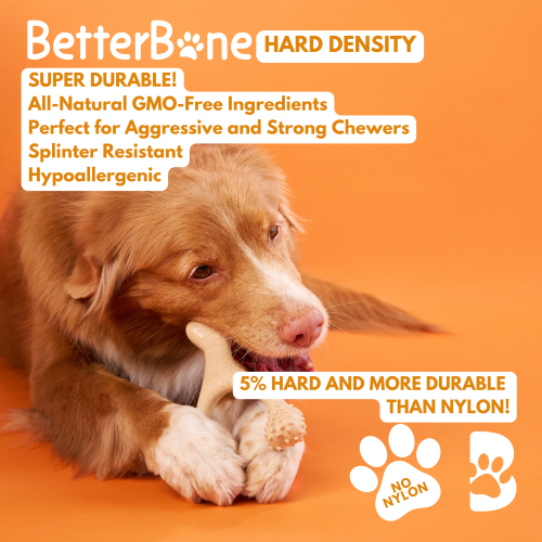 BetterBone HARD Chew Toy – All-Natural, Ultra-Durable & Eco-Friendly for Power Chewers