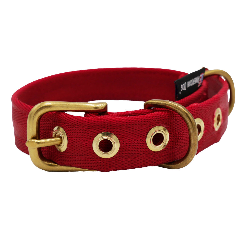 Heavy-Duty Seatbelt Dog Collar – USA Made with Brass Hardware