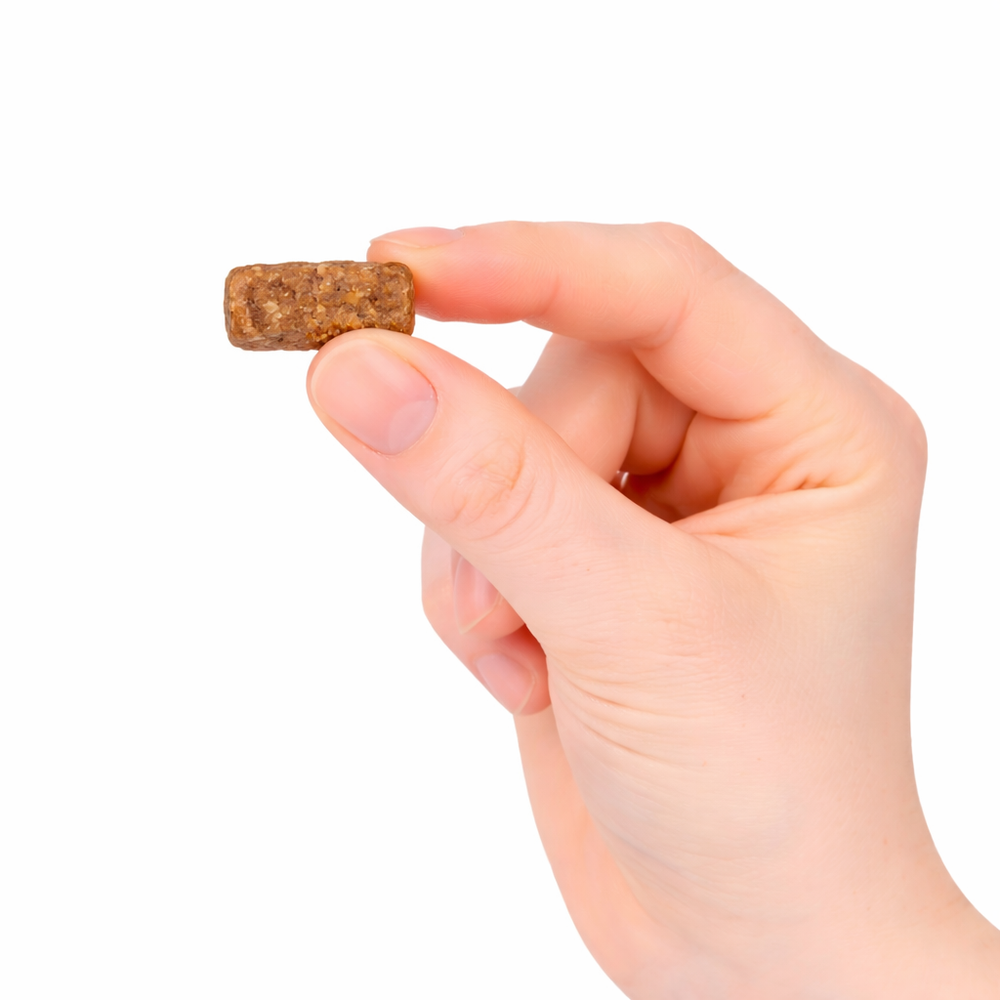 Freezbone Sweet Potato & Honey Dog Treats – Oven-Baked Training & Enrichment Bites