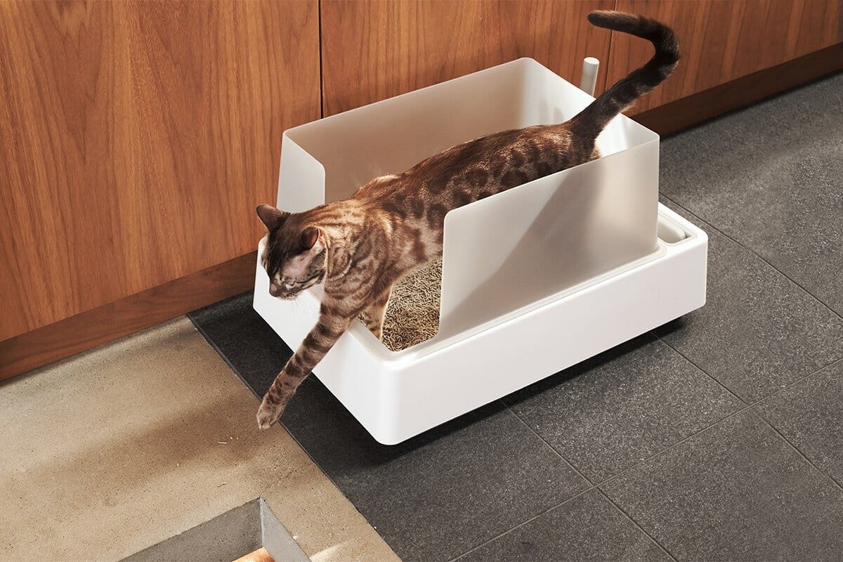 The Cove Modern Litter Box with Built-In Scoop & Shelter Add-On