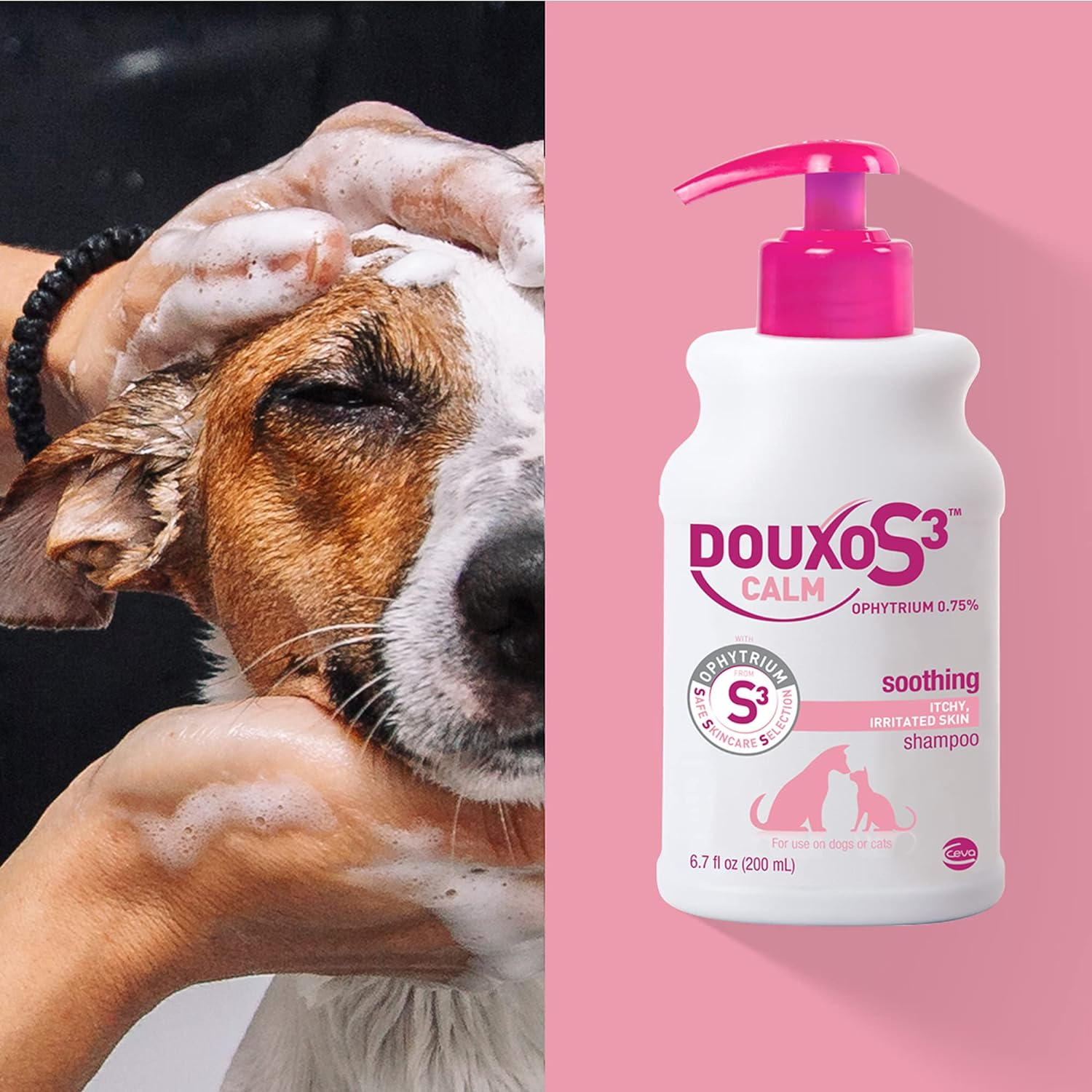Douxo S3 Calm Soothing Shampoo for Dogs & Cats – Itchy, Irritated, Sensitive Skin Relief