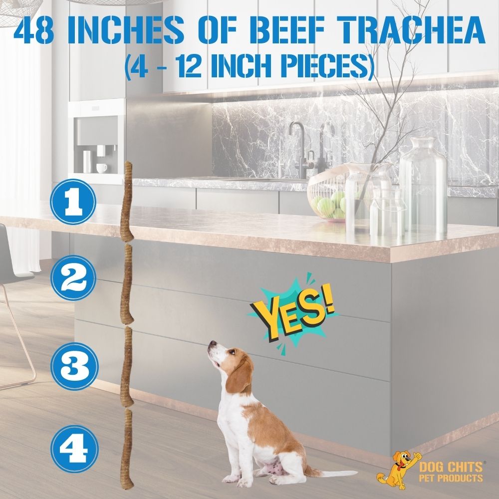 Beef Trachea Chews for Dogs β 12β Natural Dog Treats (4 Pack)