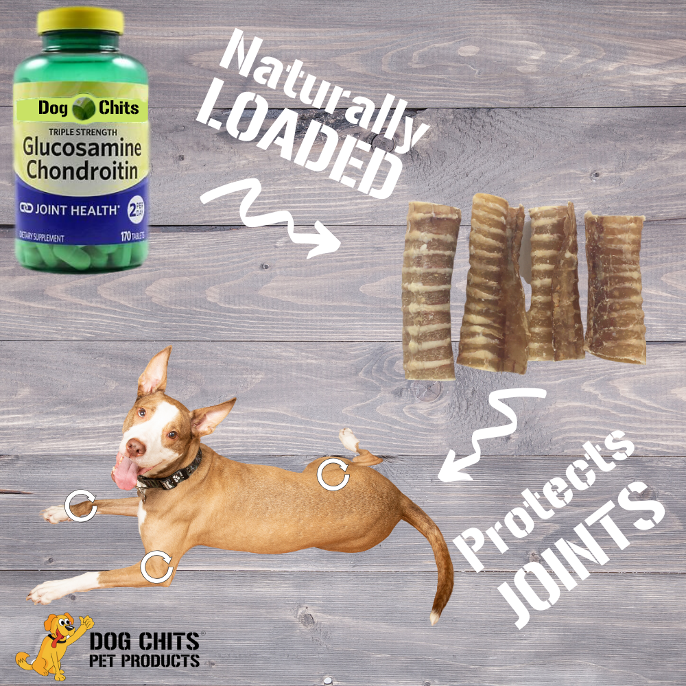 All-Natural Beef Trachea Dog Treats – 1 lb Bag (3"-4" Crunchy Chews)