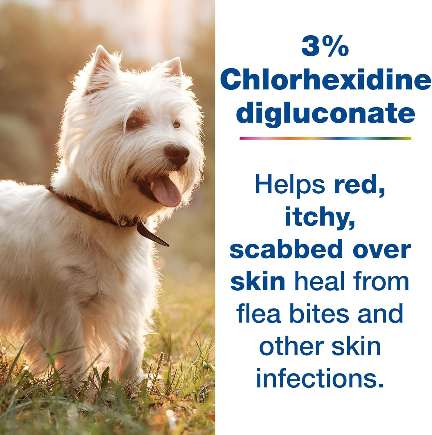 Douxo S3 PYO Antiseptic & Antifungal Shampoo for Dogs & Cats – Vet-Recommended Skin Care