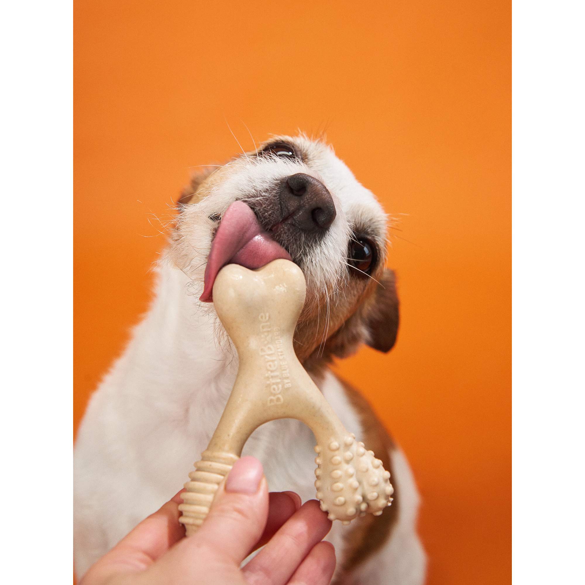 BetterBone HARD Chew Toy – All-Natural, Ultra-Durable & Eco-Friendly for Power Chewers