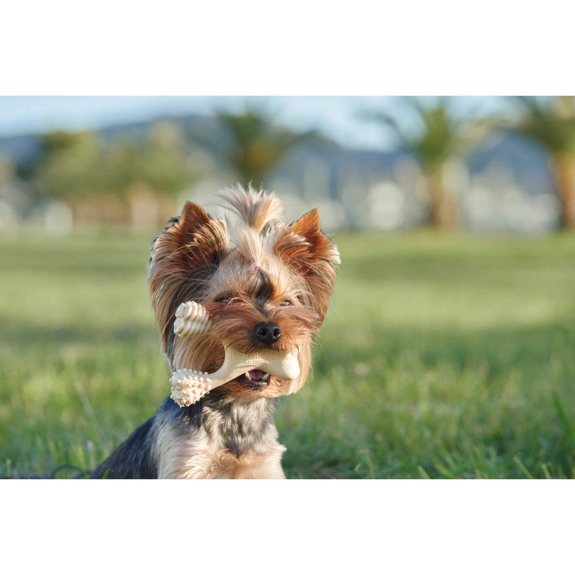 BetterBone HARD Chew Toy – All-Natural, Ultra-Durable & Eco-Friendly for Power Chewers