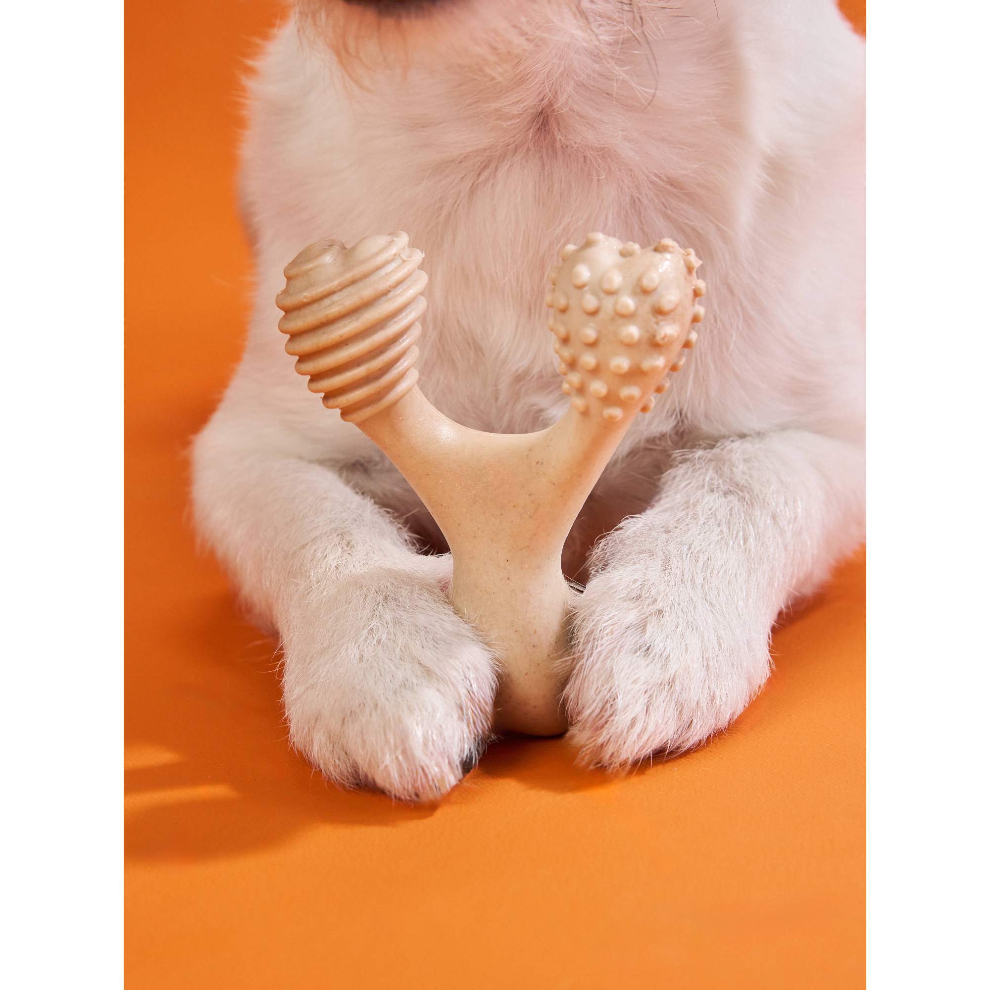 BetterBone HARD Chew Toy – All-Natural, Ultra-Durable & Eco-Friendly for Power Chewers