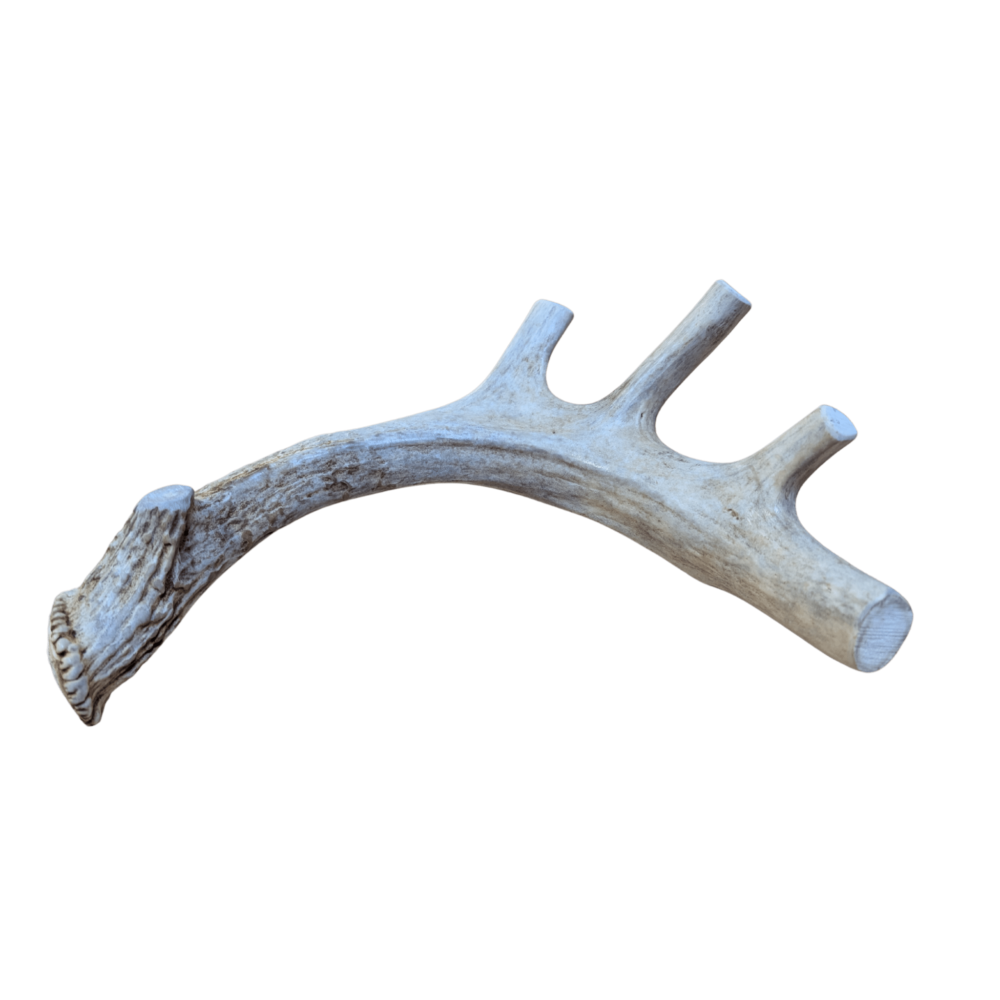 All-Natural Deer Antler Dog Chews
