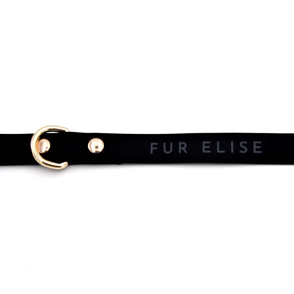 Elise Waterproof Adventure Dog Leash – 5 Ft Durable & Easy-to-Clean - Noir