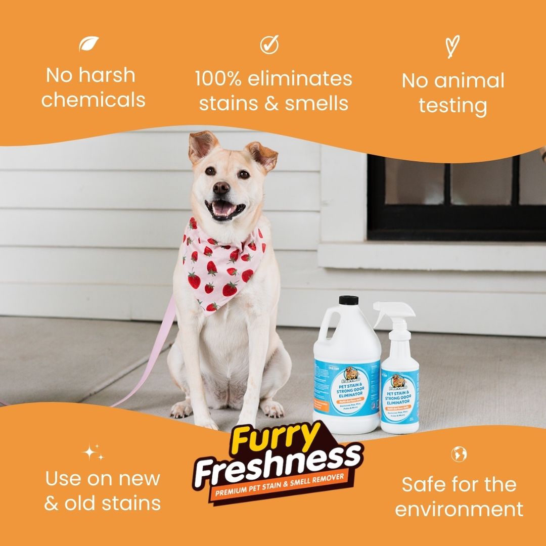 FurryFreshness Odorless Pet Stain & Odor Eliminator – Eco-Friendly, Enzyme-Free, Safe for Kids & Pets