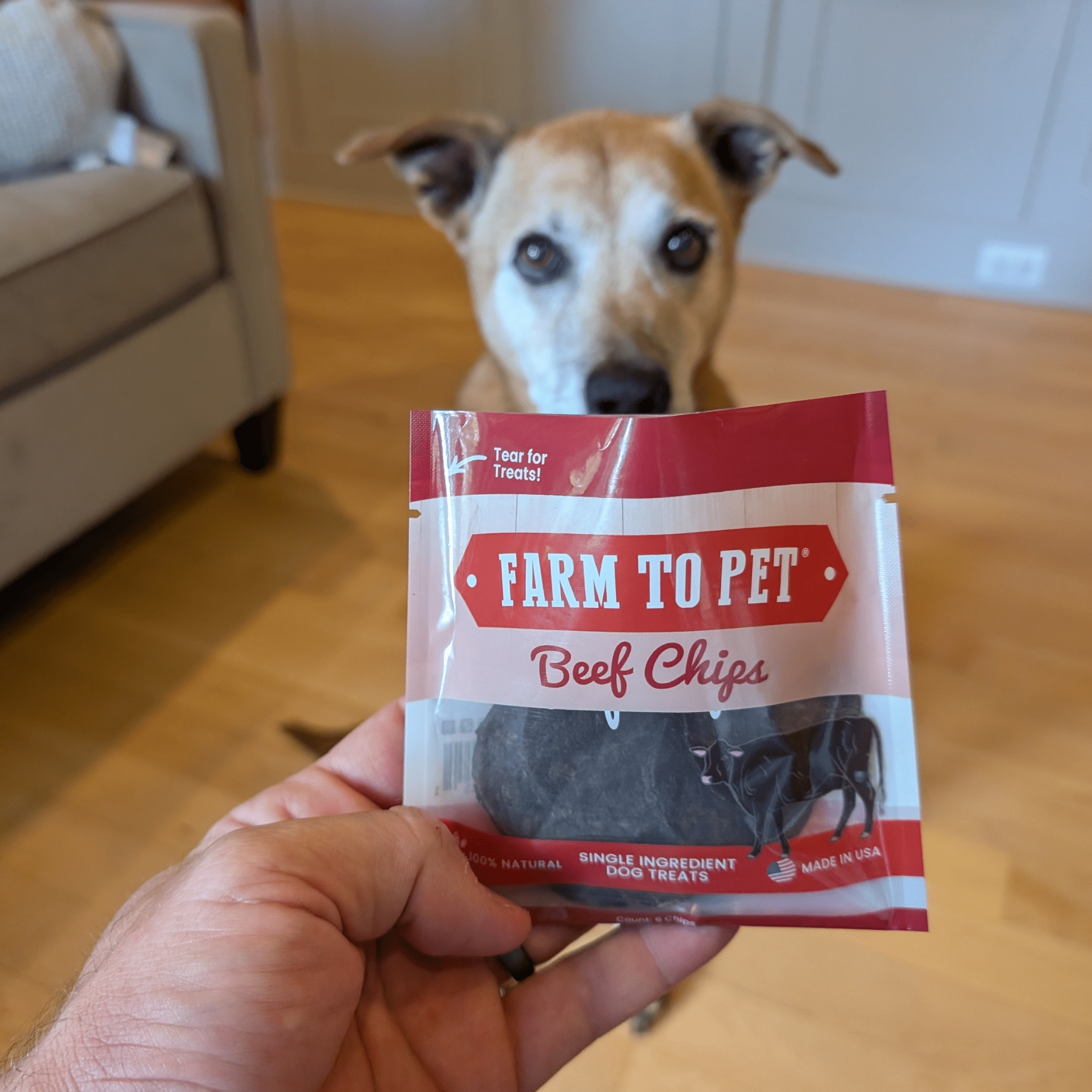 High-Protein Beef Chip Snack Pack Bundles – All-Natural, Single-Ingredient Dog Treats