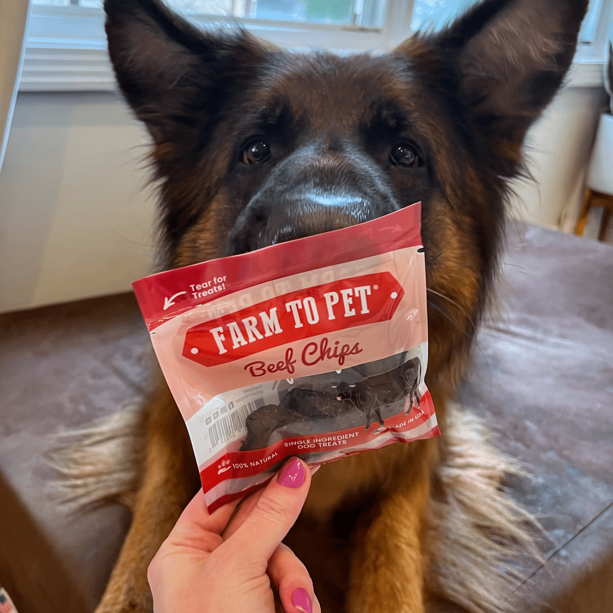 Puppy Packs 'N Snacks – All-Natural Dog Treat Starter Pack for Healthy Training & Rewards