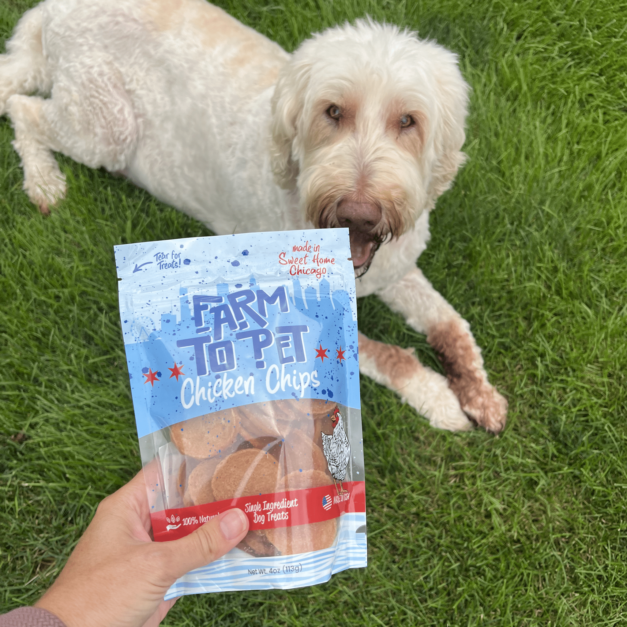 Chicago Chicken Chips for Dogs β All-Natural, High-Protein Dog Treats Made in the USA