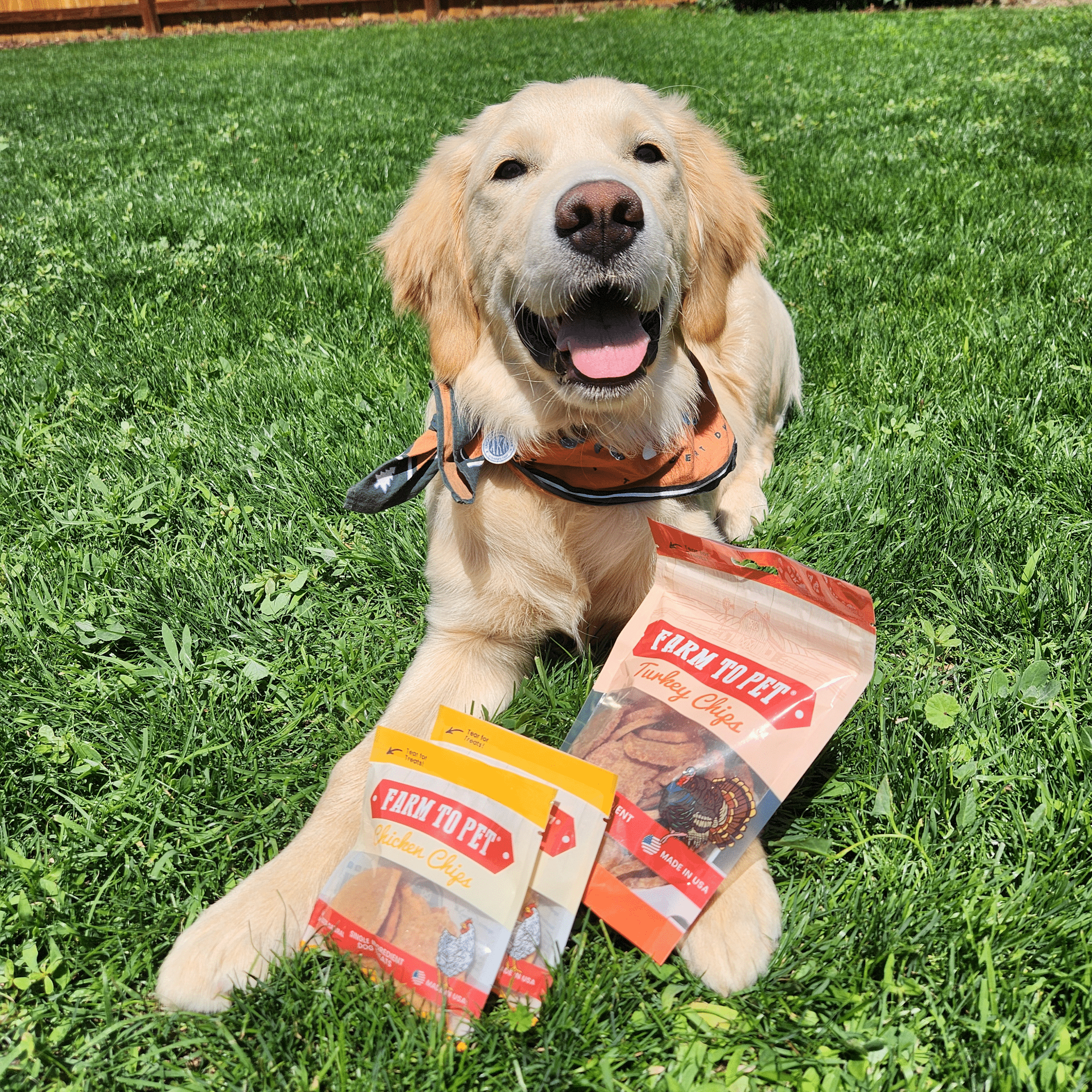 Puppy Packs 'N Snacks – All-Natural Dog Treat Starter Pack for Healthy Training & Rewards