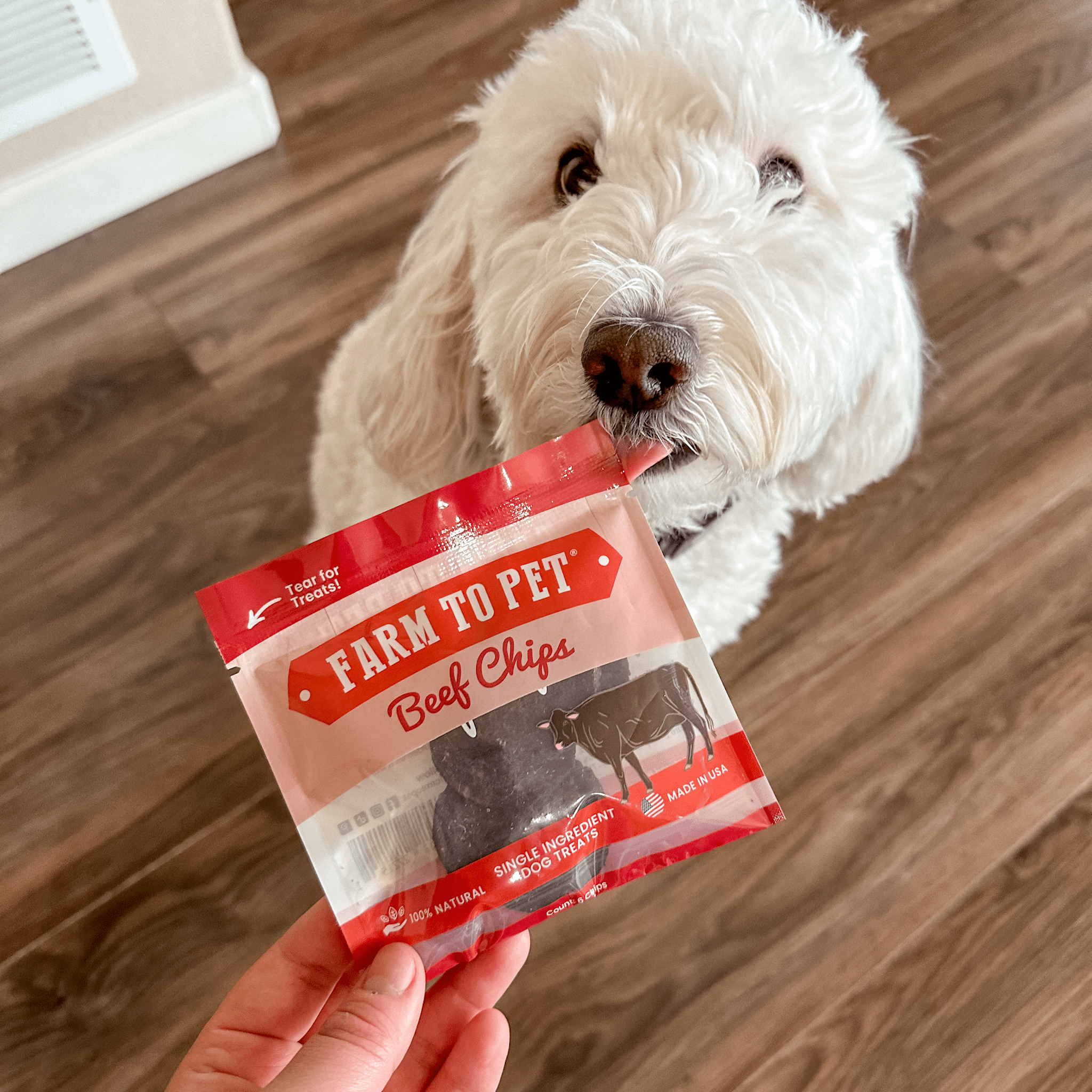 Puppy Packs 'N Snacks – All-Natural Dog Treat Starter Pack for Healthy Training & Rewards