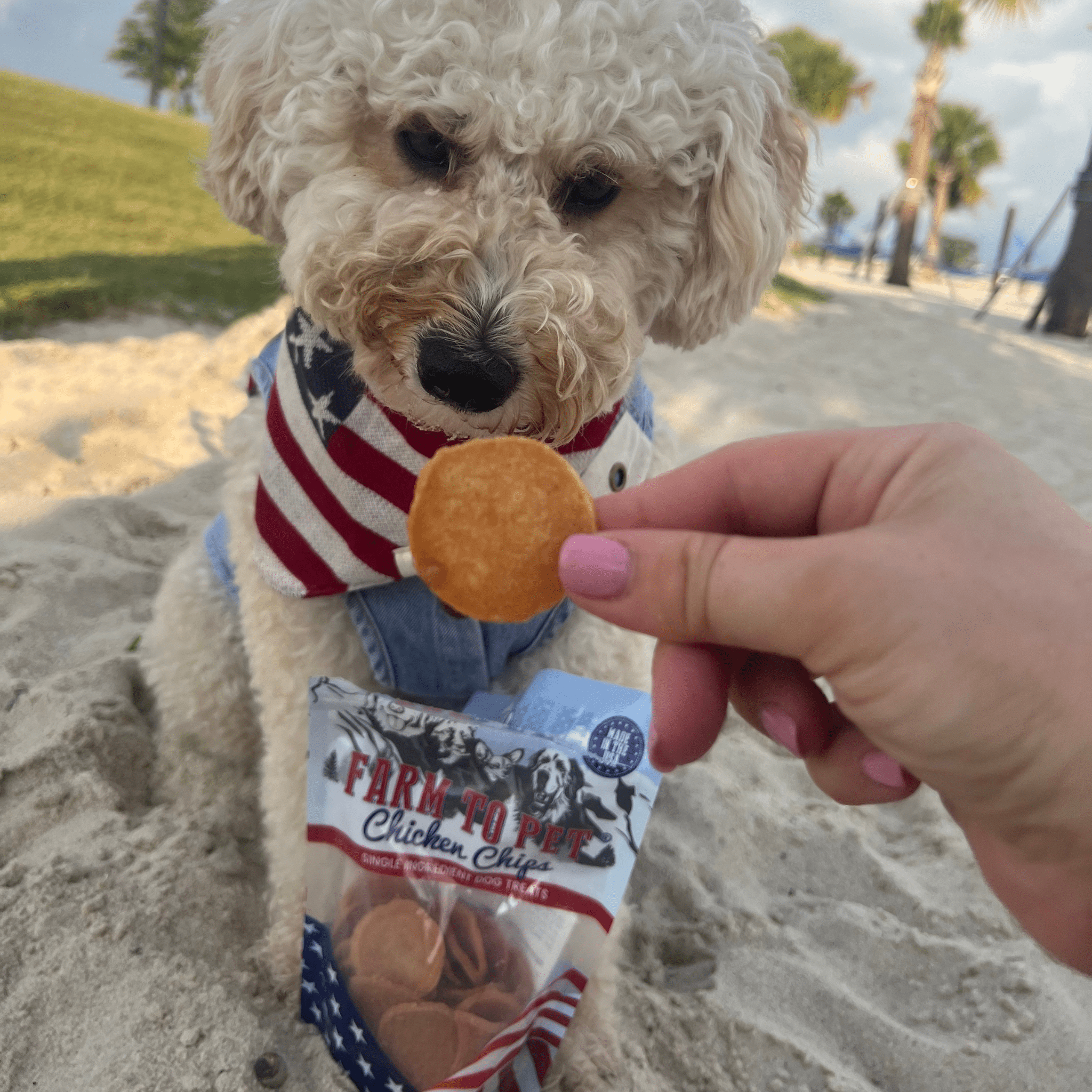 Americana All-Natural Chicken Chips for Dogs – High-Protein Dog Treats