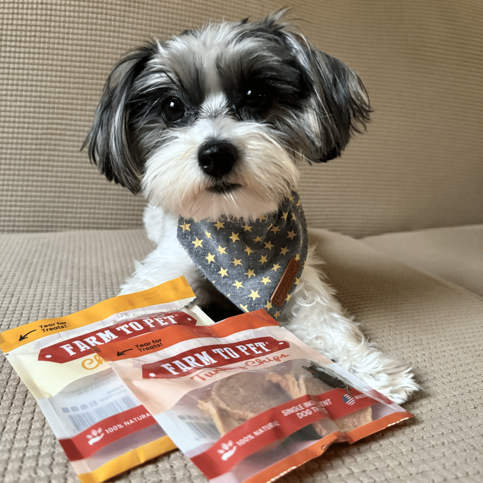 Puppy Packs 'N Snacks – All-Natural Dog Treat Starter Pack for Healthy Training & Rewards