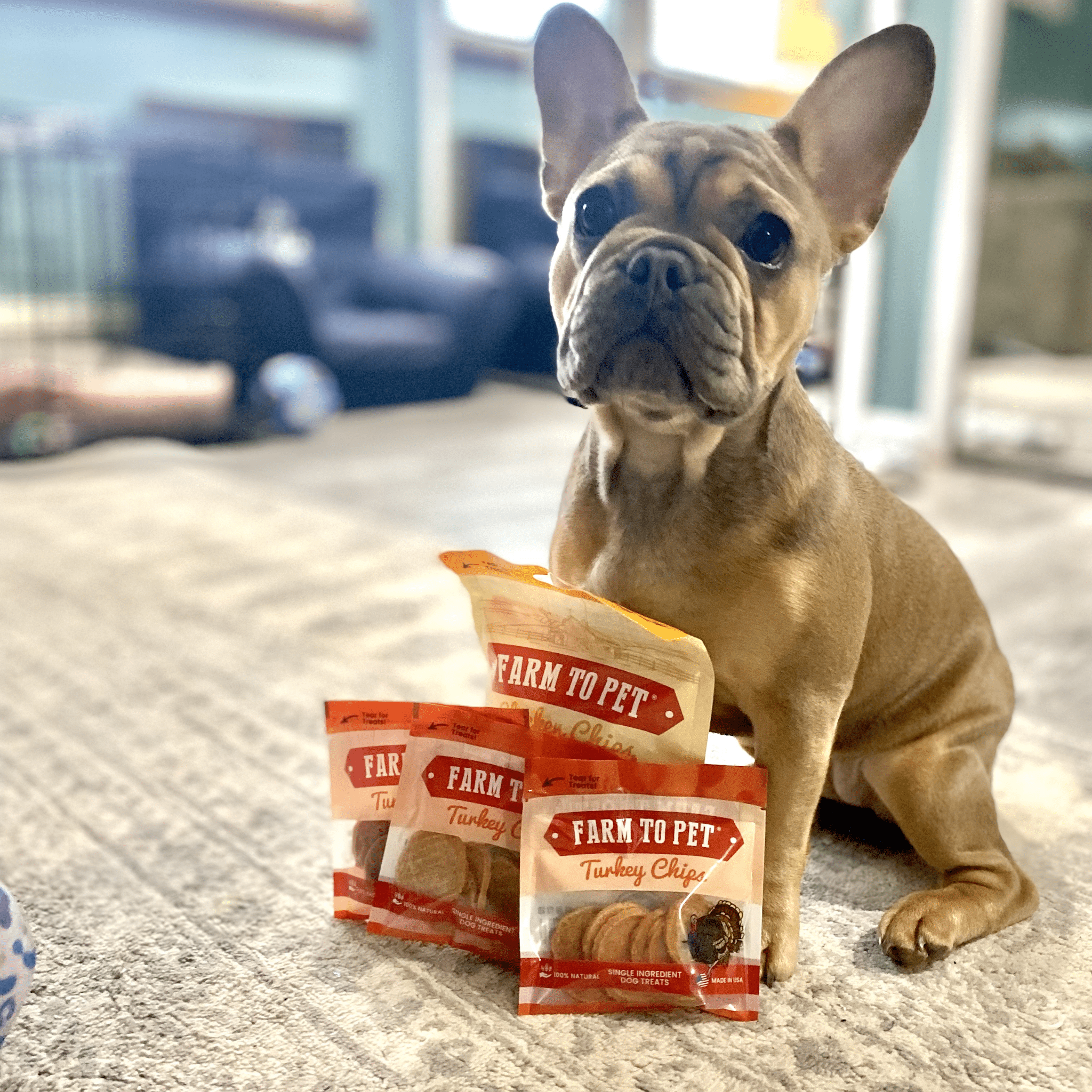 Puppy Packs 'N Snacks – All-Natural Dog Treat Starter Pack for Healthy Training & Rewards