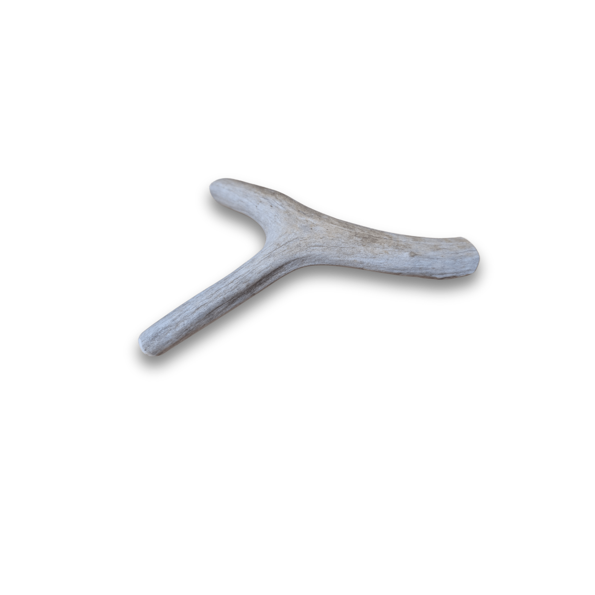All-Natural Deer Antler Dog Chews