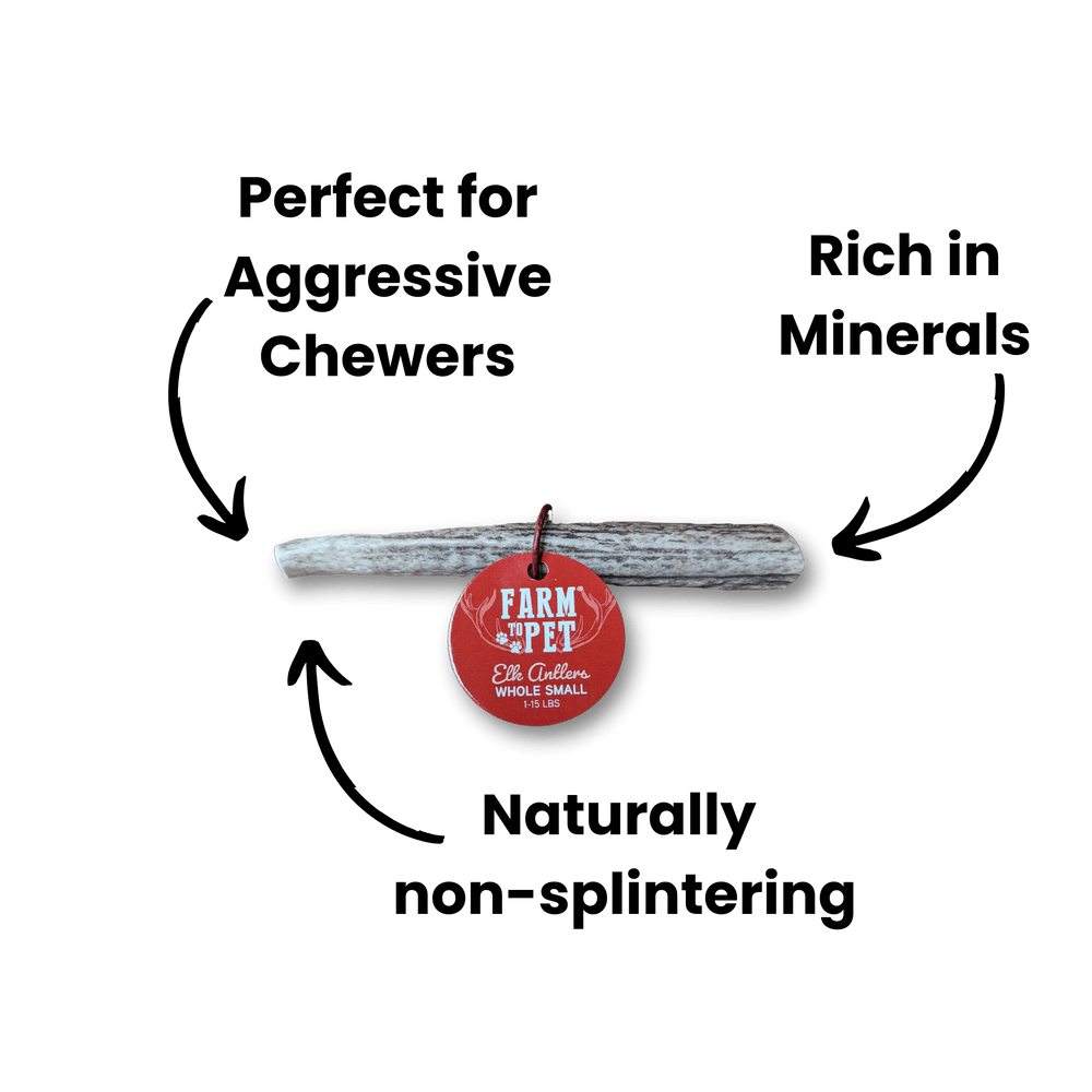 Farm to Pet Whole Elk Antlers for Dogs โ Long-Lasting Organic Chews for Aggressive Chewers | All-Natural, Odor-Free, Nutrient-Rich Dog Treats