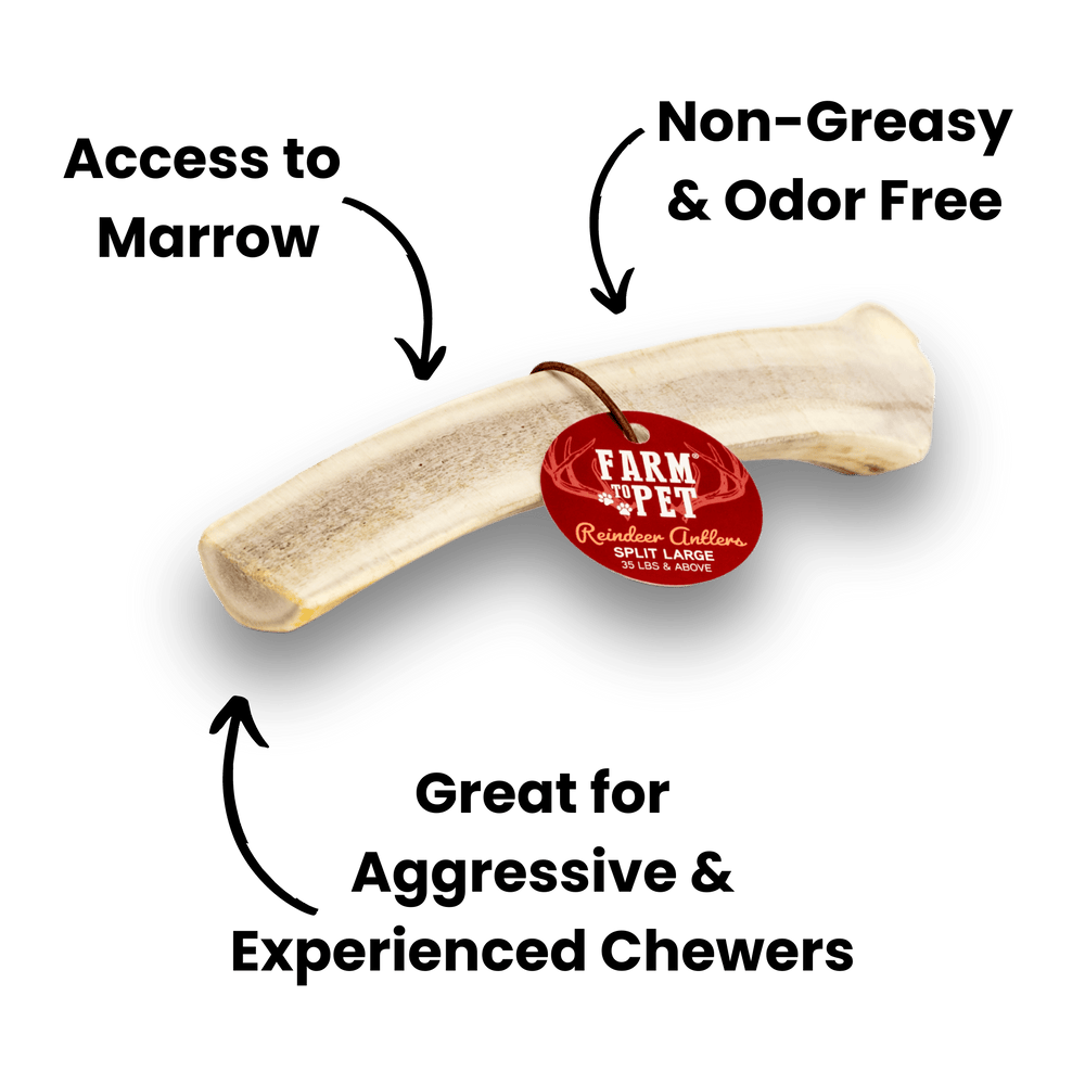 All-Natural Split Reindeer Antlers for Dogs โ Long-Lasting Chew for Aggressive Chewers