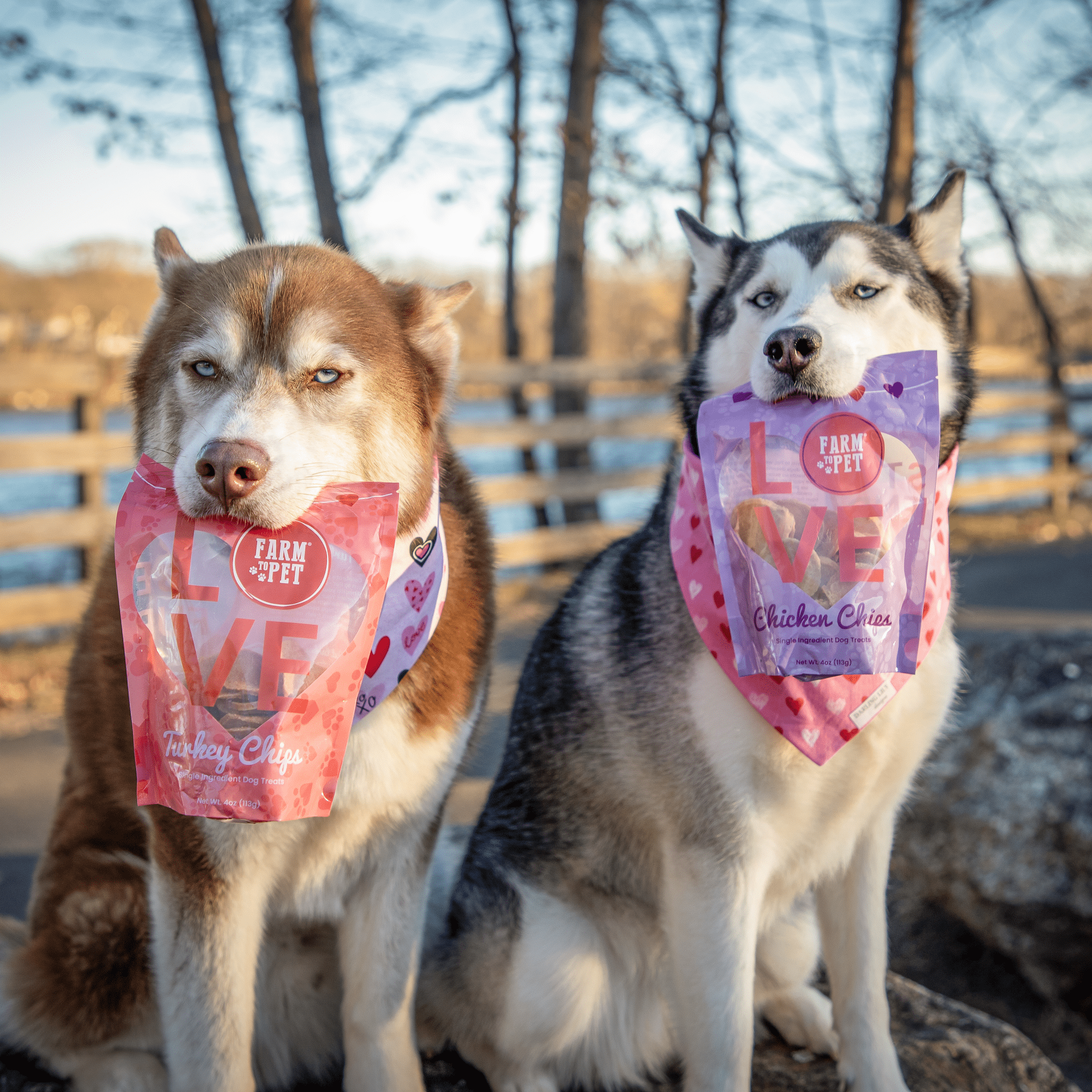 Doggy Love Chips Bundle – All-Natural Crunchy Dog Treats