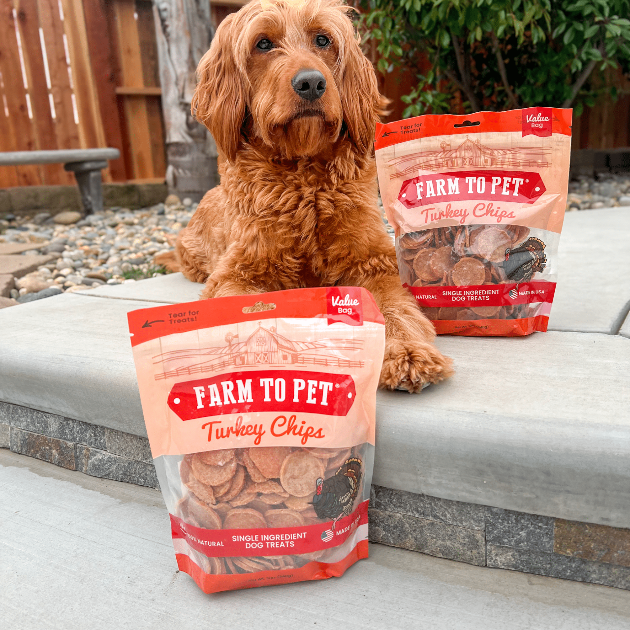 All-Natural Turkey Chips for Dogs β High-Protein Dog Treats Made in the USA