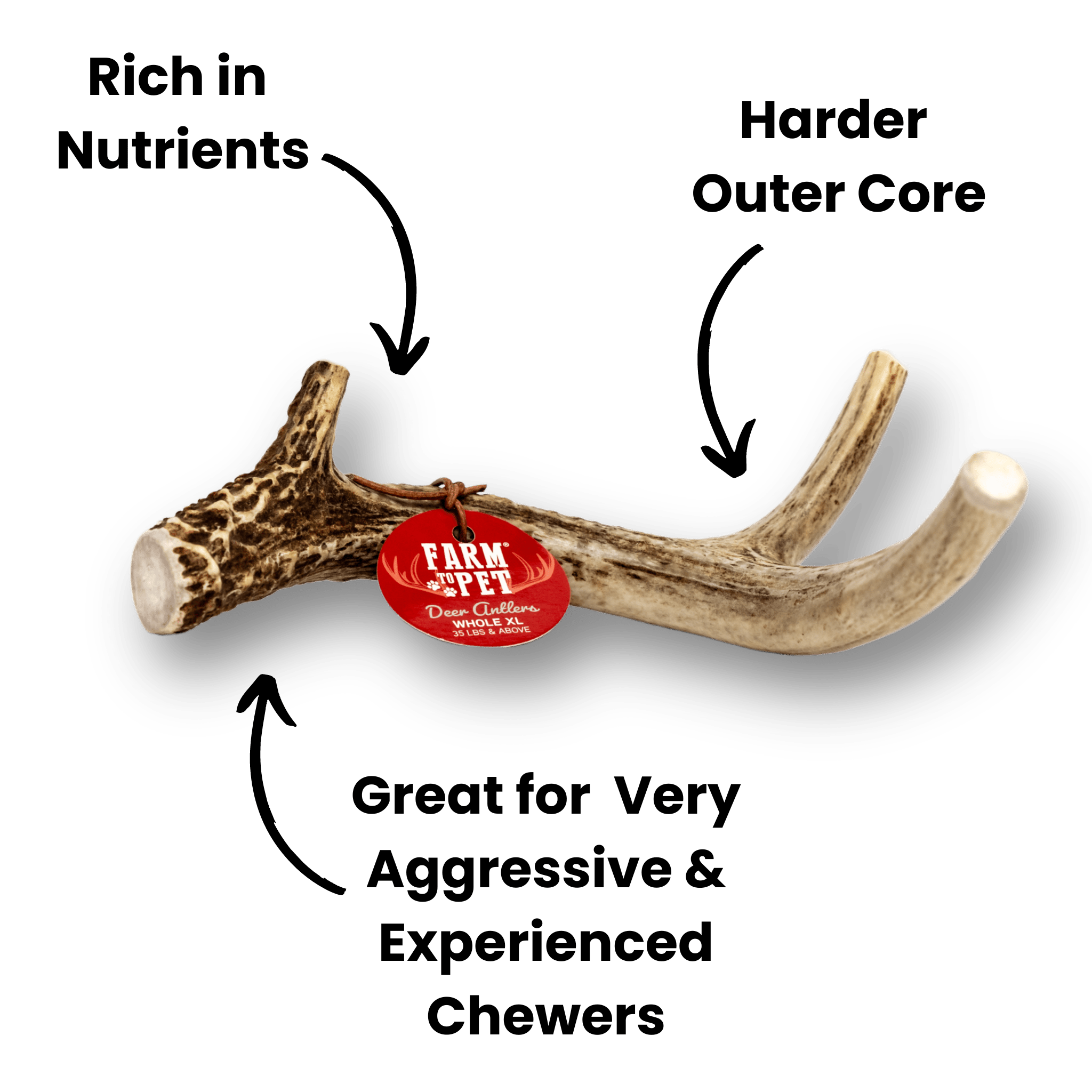 All-Natural Deer Antler Dog Chews