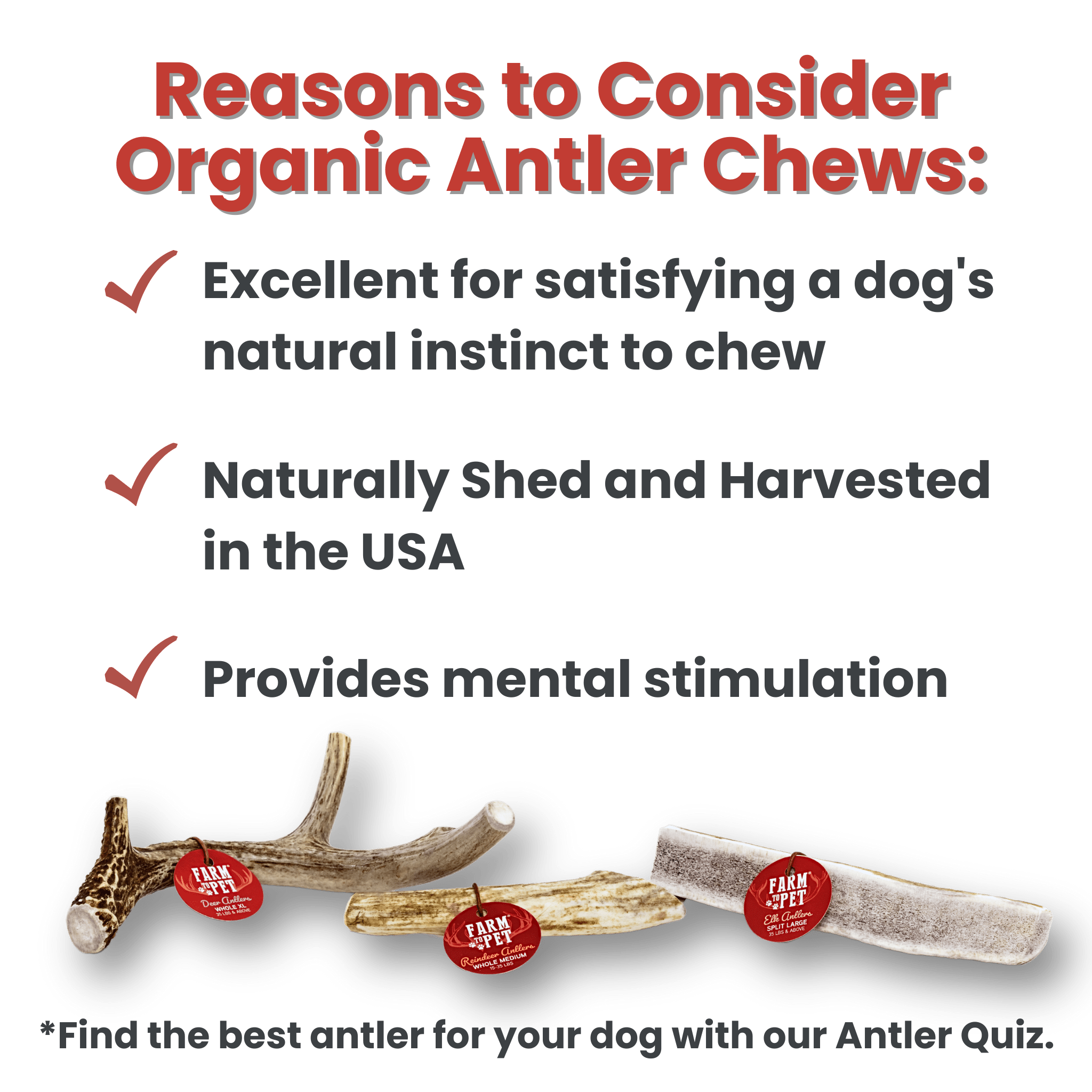 All-Natural Deer Antler Dog Chews