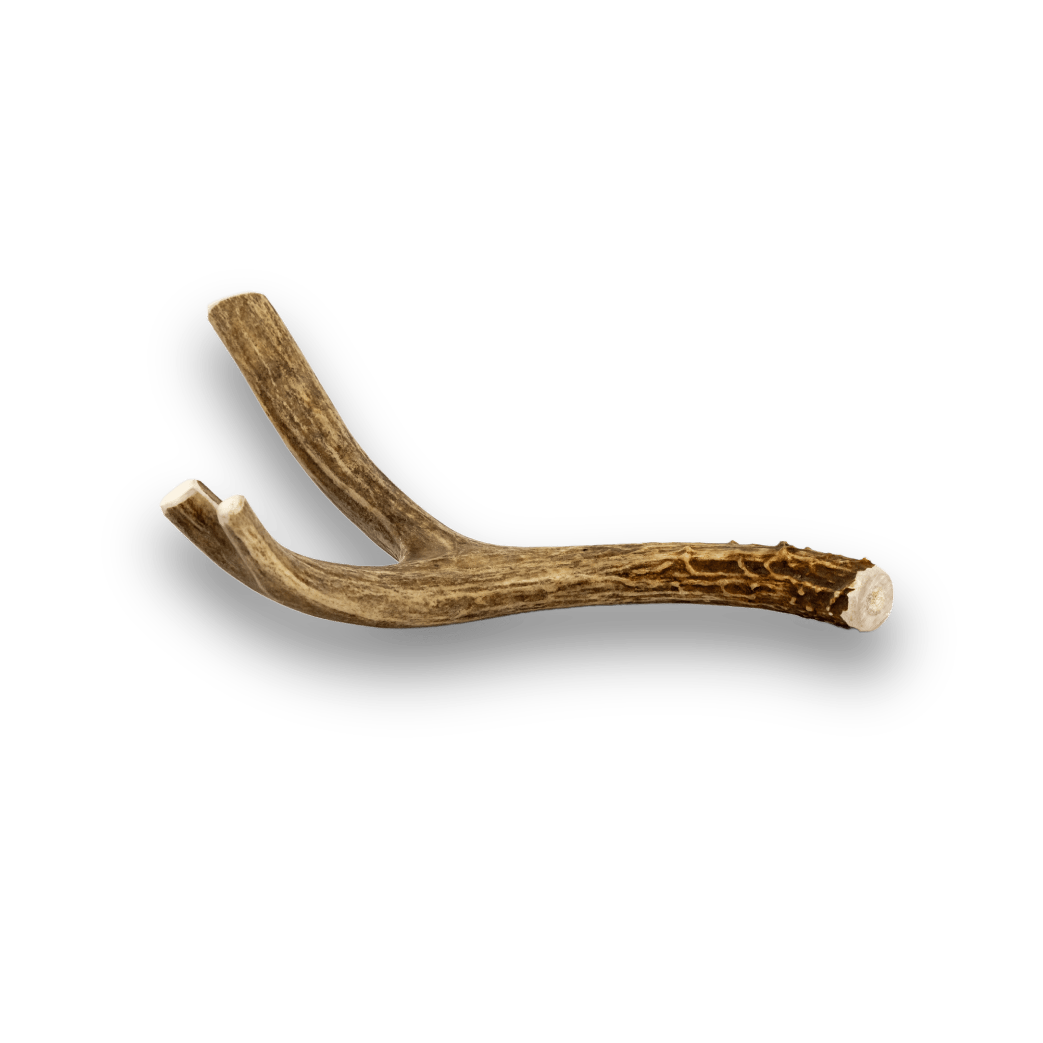 All-Natural Deer Antler Dog Chews