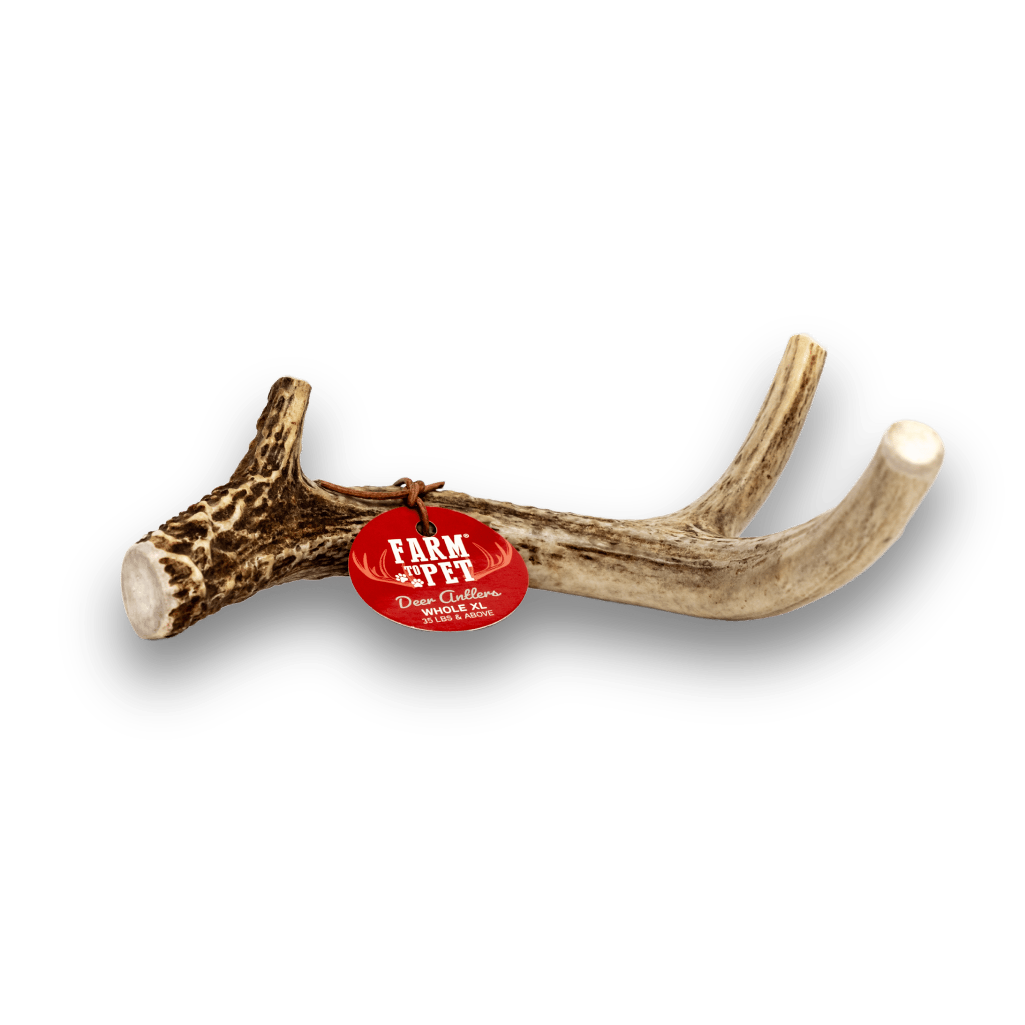 All-Natural Deer Antler Dog Chews