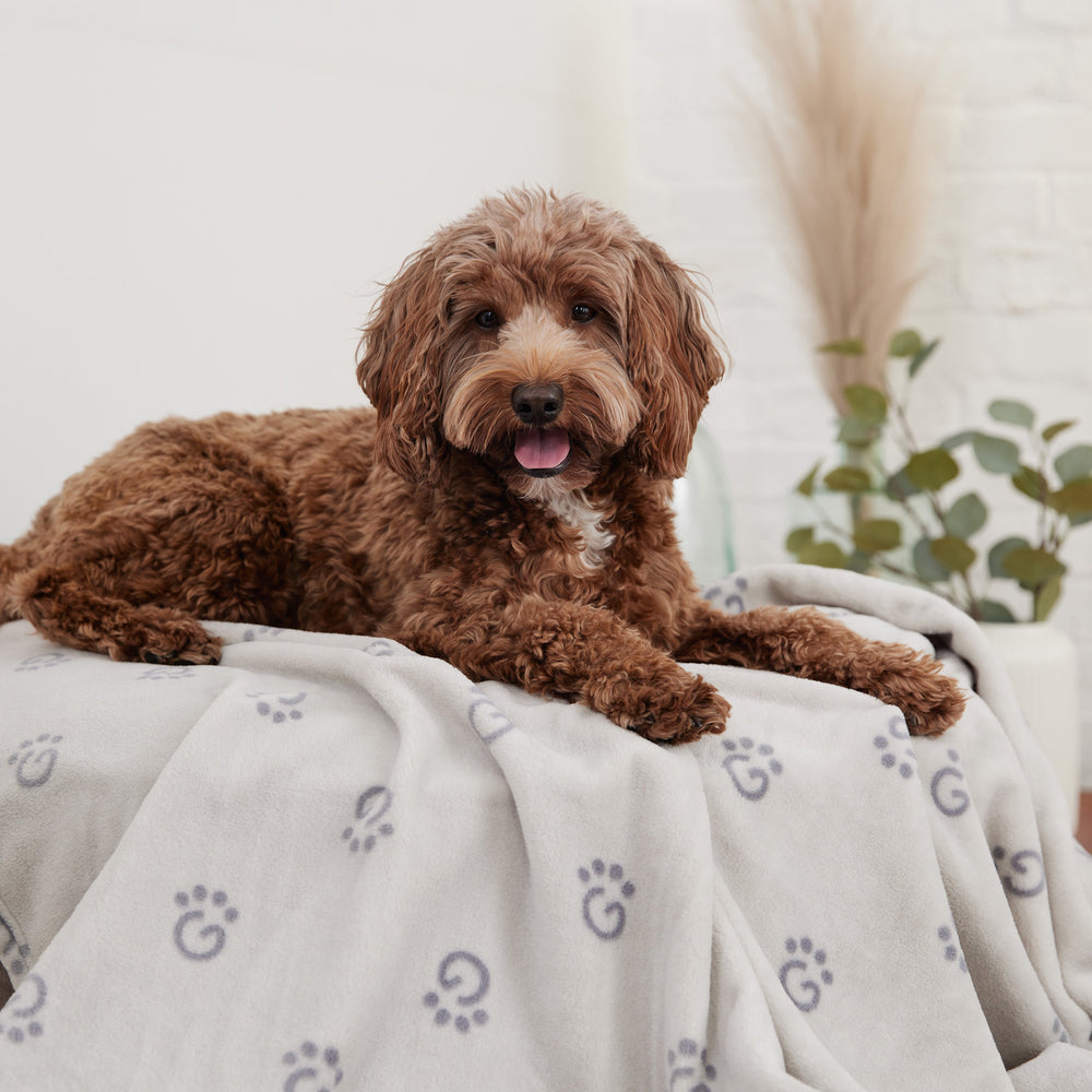 GF PET® Ultra-Soft Logo Blanket – Cozy Fleece Throw for Dogs & Cats