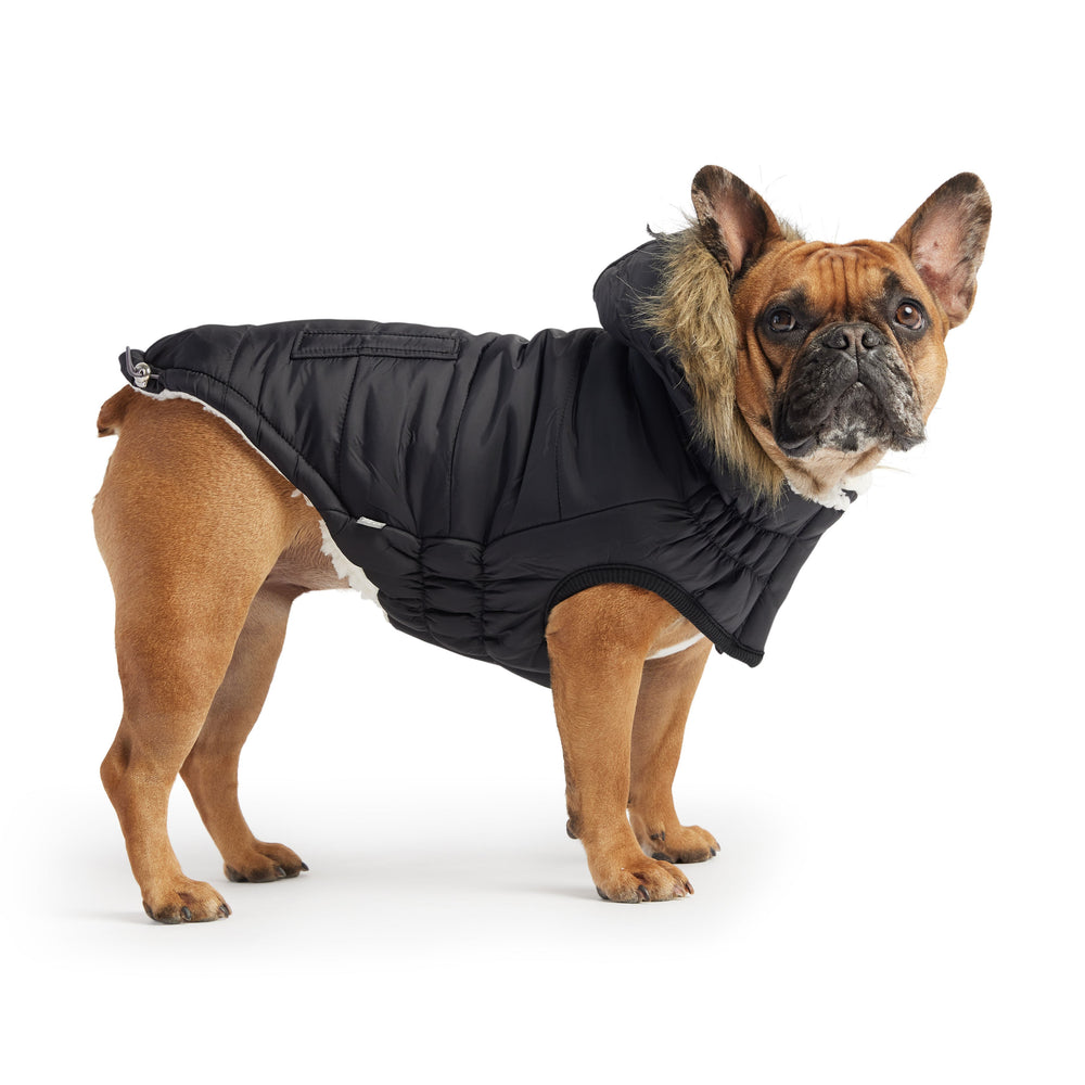 GF PET® Urban Dog Parka – Water-Resistant Winter Coat with Elasto-Fit® - Black
